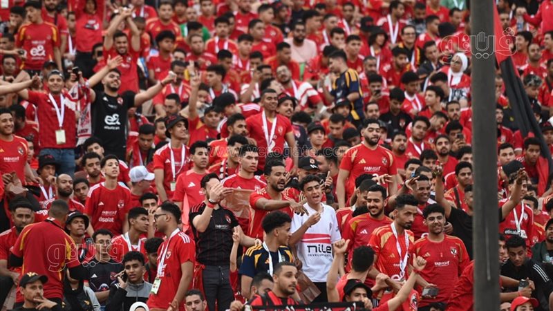 جماهير الاهلي 