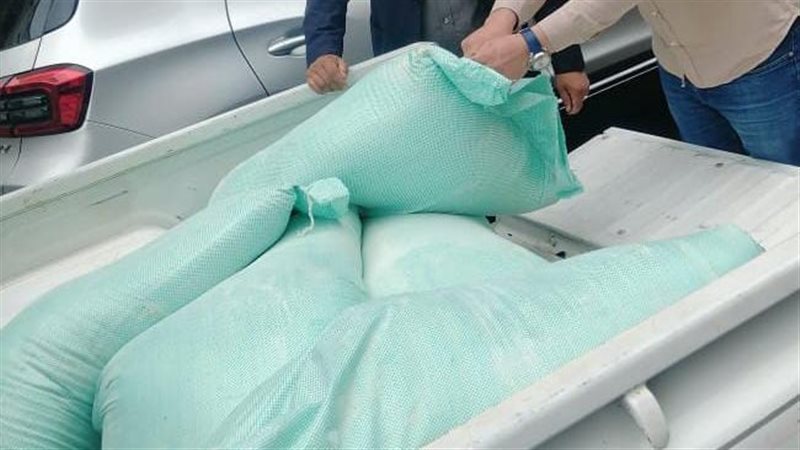 تموين الاسكندريه