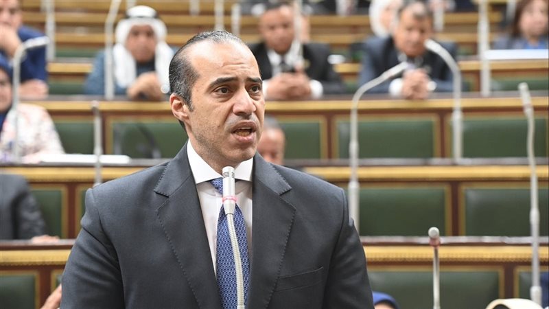  المستشار محمود فوزى،