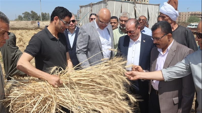 محصول القمح، فيتو