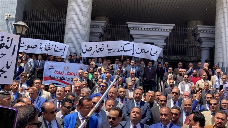 وقفة لمحامي الإسكندرية