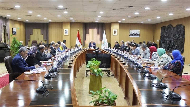 مجلس جامعة المنصورة،