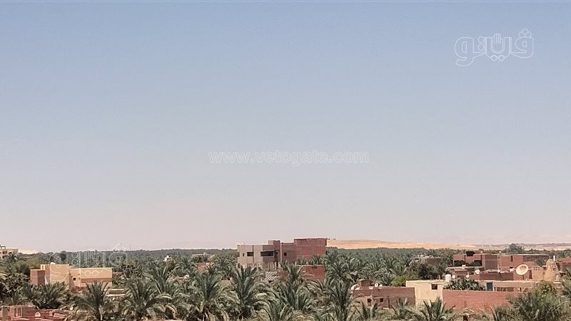 طقس الوادي الجديد،