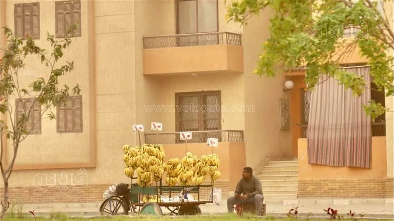 حالة الطقس غدا، فيتو