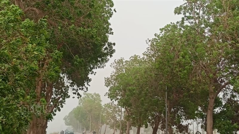 عواصف ترابية 
