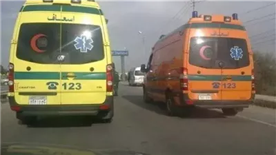 النيابة تأمر بضبط سائق لودر متهم بدهس عامل على الطريق الدائري الأوسطي