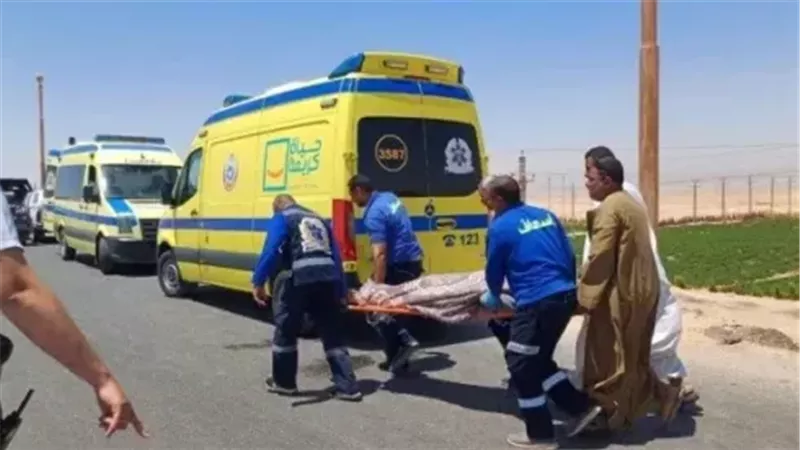الإسعاف، فيتو
