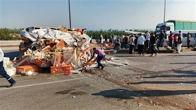 إصابة شخصين ونفوق عدد من الدواجن في انقلاب سيارة بالمنوفية
