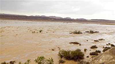 وزير الري يتلقى تقريرا بشأن أمطار وسيول سيناء 