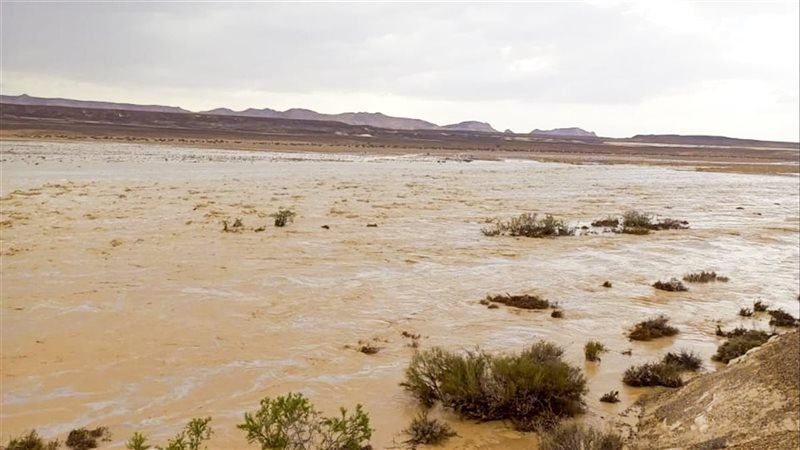 أمطار متوسطة على