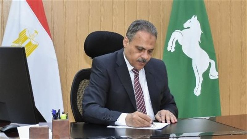 محافظ الشرقية