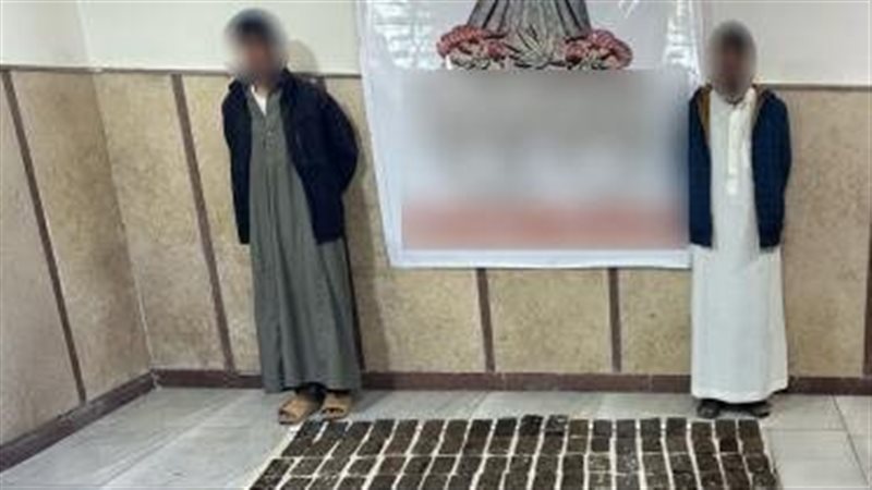 ضبط عنصرين إجراميين