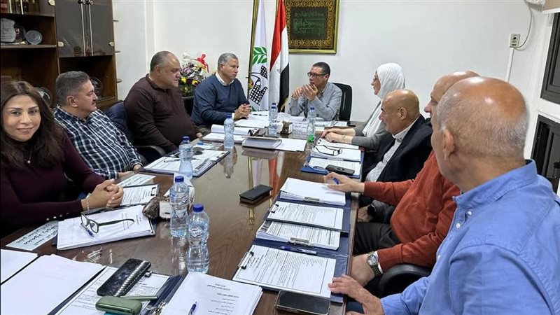 اتحاد الكرة الطائرة،