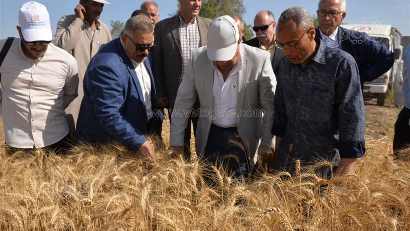 جولة لمحافظ الدقهلية