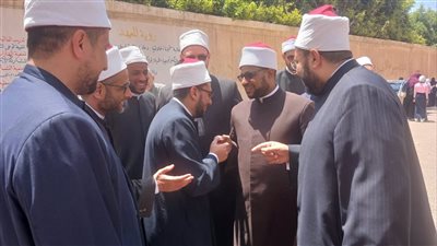 أمين 