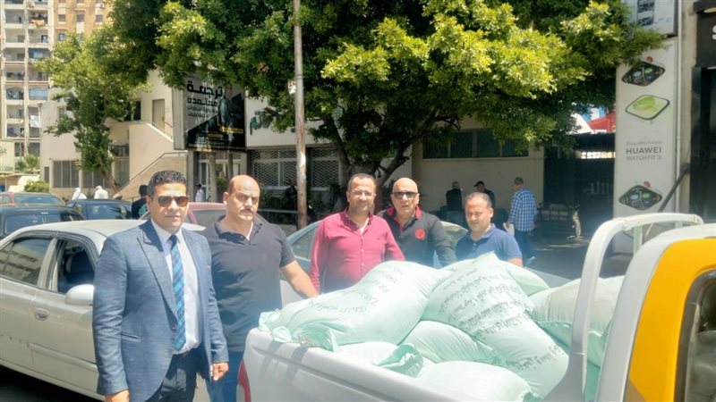 الاسكندريه 