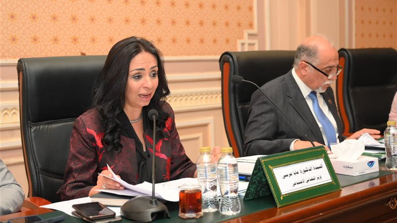 مايا مرسي وزيرة التضامن
