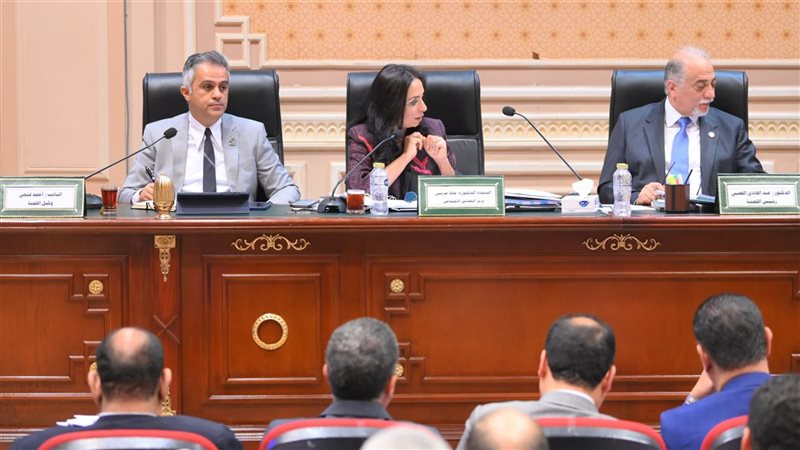مايا مرسي وزيرة التضامن