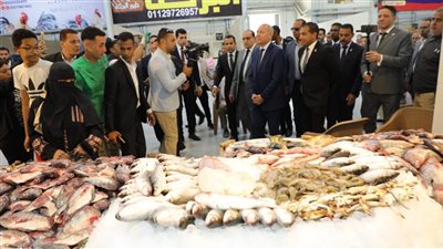 محافظ القاهرة يفتتح سوقين حضاريين في المقطم (صور)
