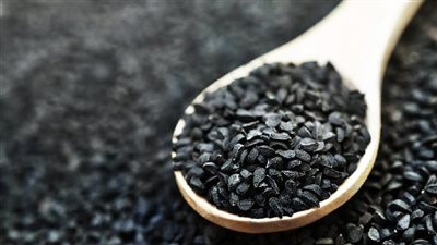 txt
