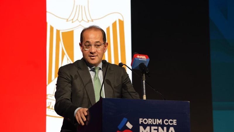 وزير المالية 