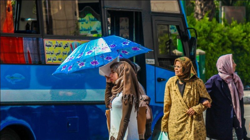 حالة الطقس، فيتو