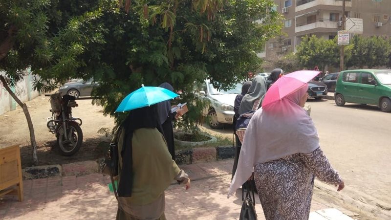 حالة الطقس غدا، فيتو