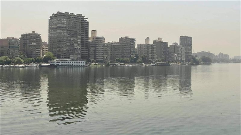 حالة الطقس غدا، فيتو