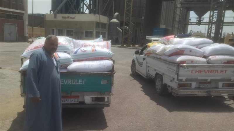 توريد القمح