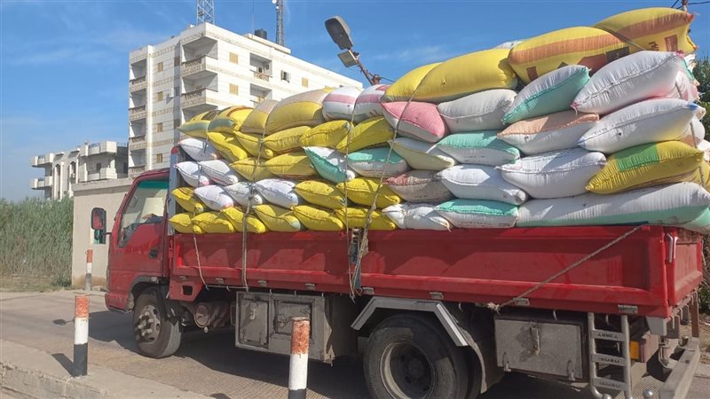  توريد القمح بالبحيرة