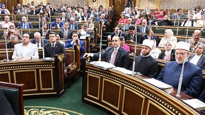 نائب يطالب بإعادة النظر في عقوبات نشر الفتوى: المسئولية على من أفتى لا من نشر