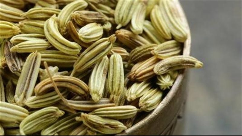 فوائد الشمر 