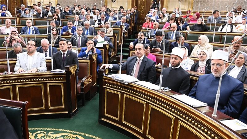 نص مشروع قانون تنظيم