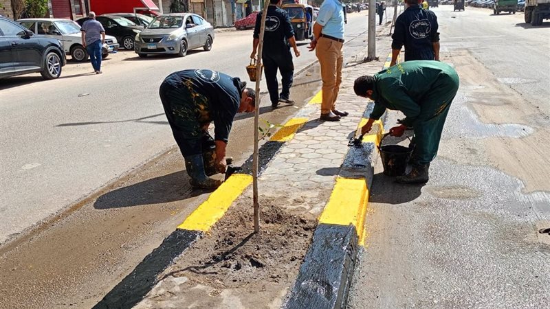 حملات النظافة بنطاق