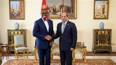  السيسي يلتقي رؤساء مجموعة البنك الأفريقي وهيئة قناة السويس وشركة ترسانة جنوب البحر الأحمر (فيديو وصور)