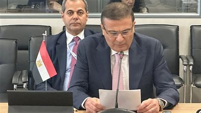وزير الزراعة: يجب توحيد الجهود العربية لمواجهة تحديات الأمن الغذائي والمائي