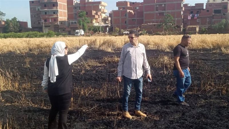 حريق في محصول القمح
