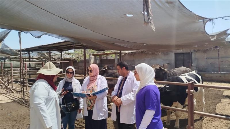 تحصين مواشي بالدقهلية،