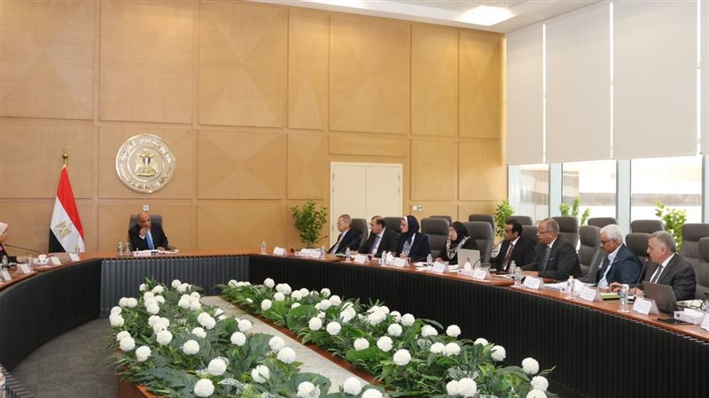 اجتماع وزير الكهرباء
