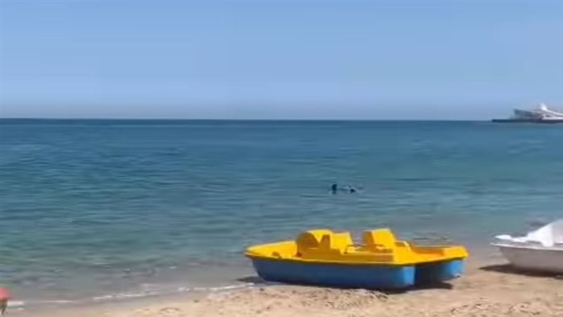 اسكندرية، فيتو 