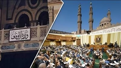 هؤلاء لا ينطبق عليهم قانون تنظيم إصدار الفتوى الشرعية