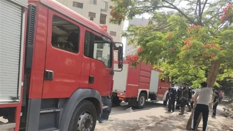حريق أشجار بوسط عمارات