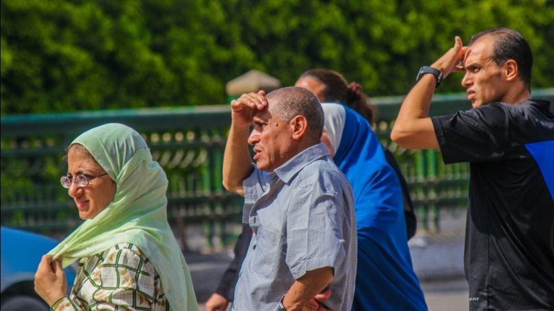 الارصاد الجوية،فيتو