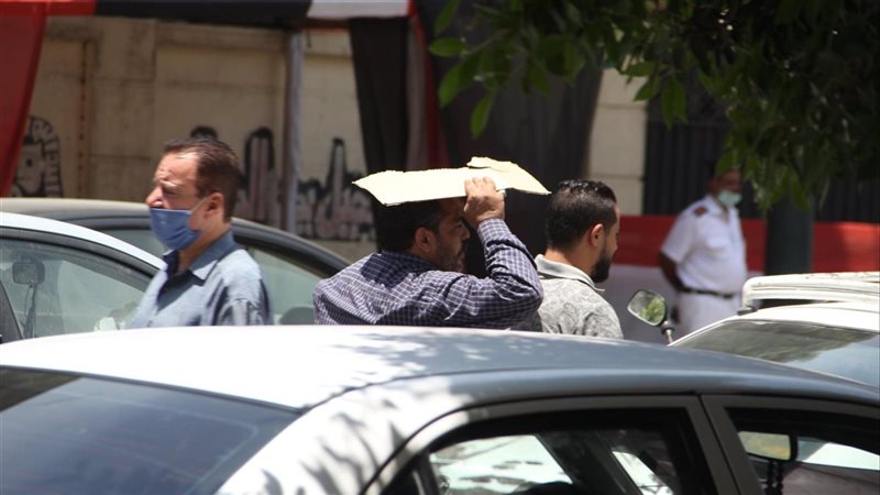 حالة الطقس غدا، فيتو