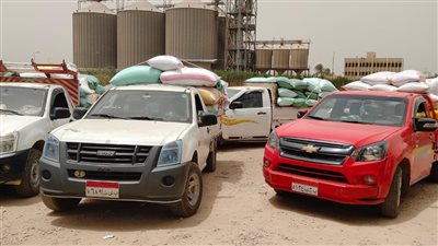 توريد 186 ألف طن قمح بصوامع وشون البحيرة 