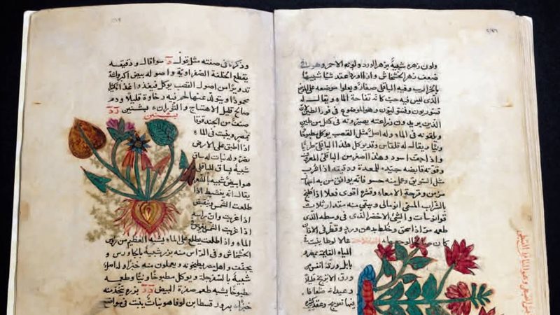 احتفالات اليوم العالمي