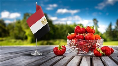 أمريكا والسودان يتصدران قائمة الدول استيرادا للحاصلات الزراعية المصرية