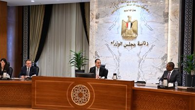 مدبولي: نجحنا في تنفيذ 21 صفقة بـ6 مليارات دولار.. وماضون في برنامج الطروحات