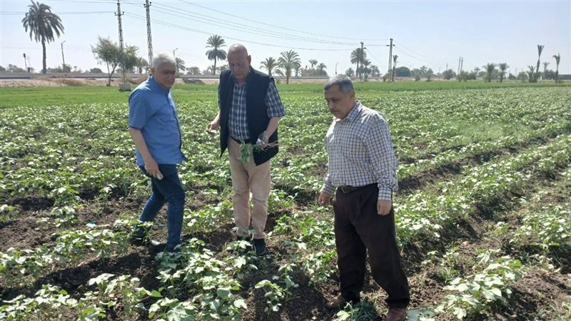 الإرشاد الزراعي بمحافظة
