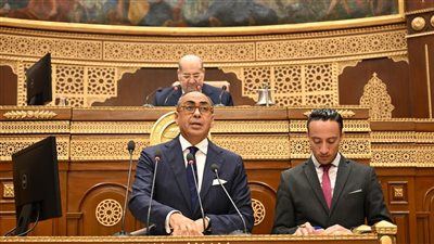 مطالب برلمانية أمام الشيوخ بتعديل قانون التحكيم والإدخال الإلكتروني لسرعة الفصل